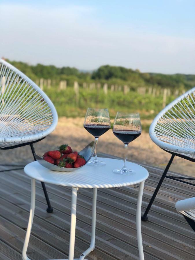 ベルヴェス・ド・カスティヨン Chez Henri Bed & Breakfast エクステリア 写真